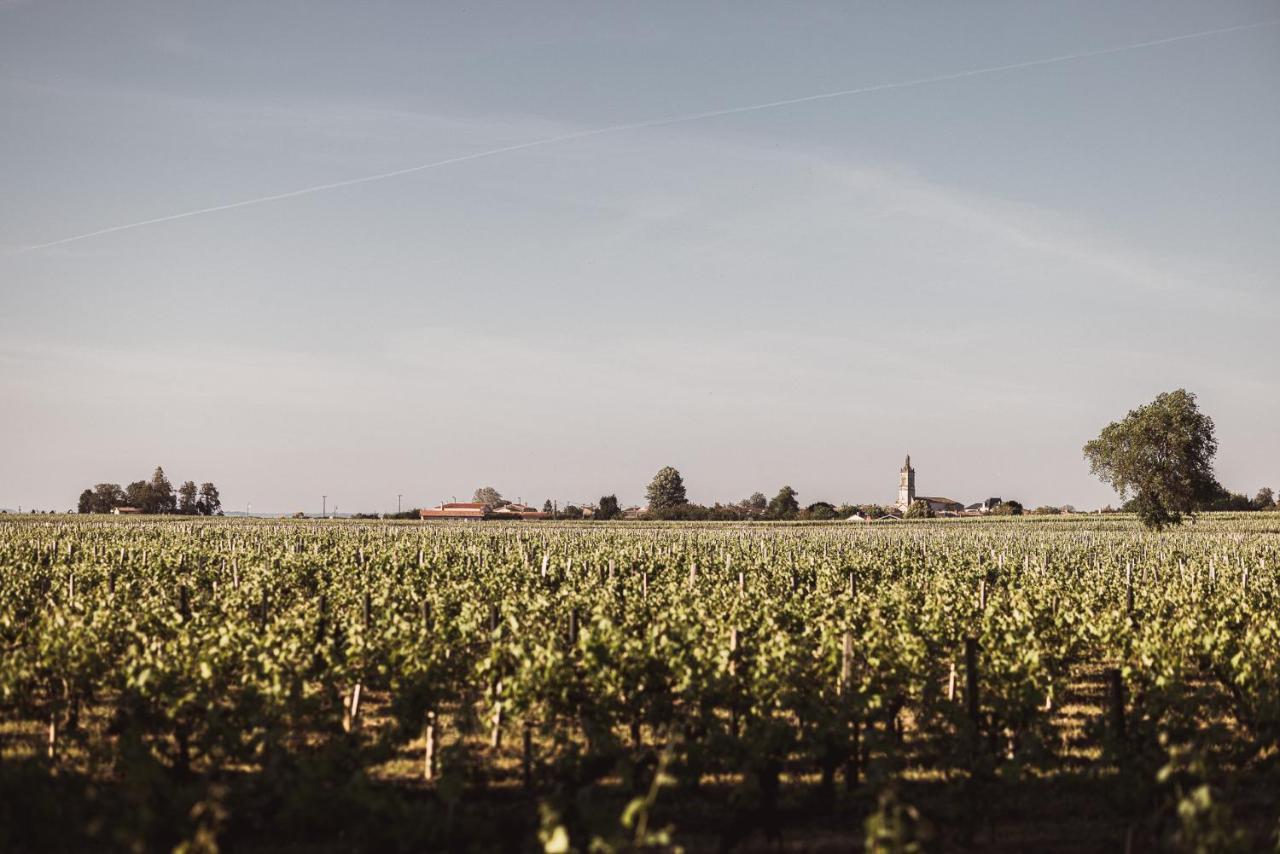 Chateau Laffitte Carcasset Saint-Estèphe Eksteriør bilde